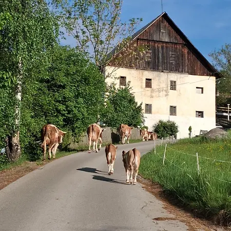 Goldblick Apartment Lendorf