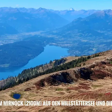 Goldblick *